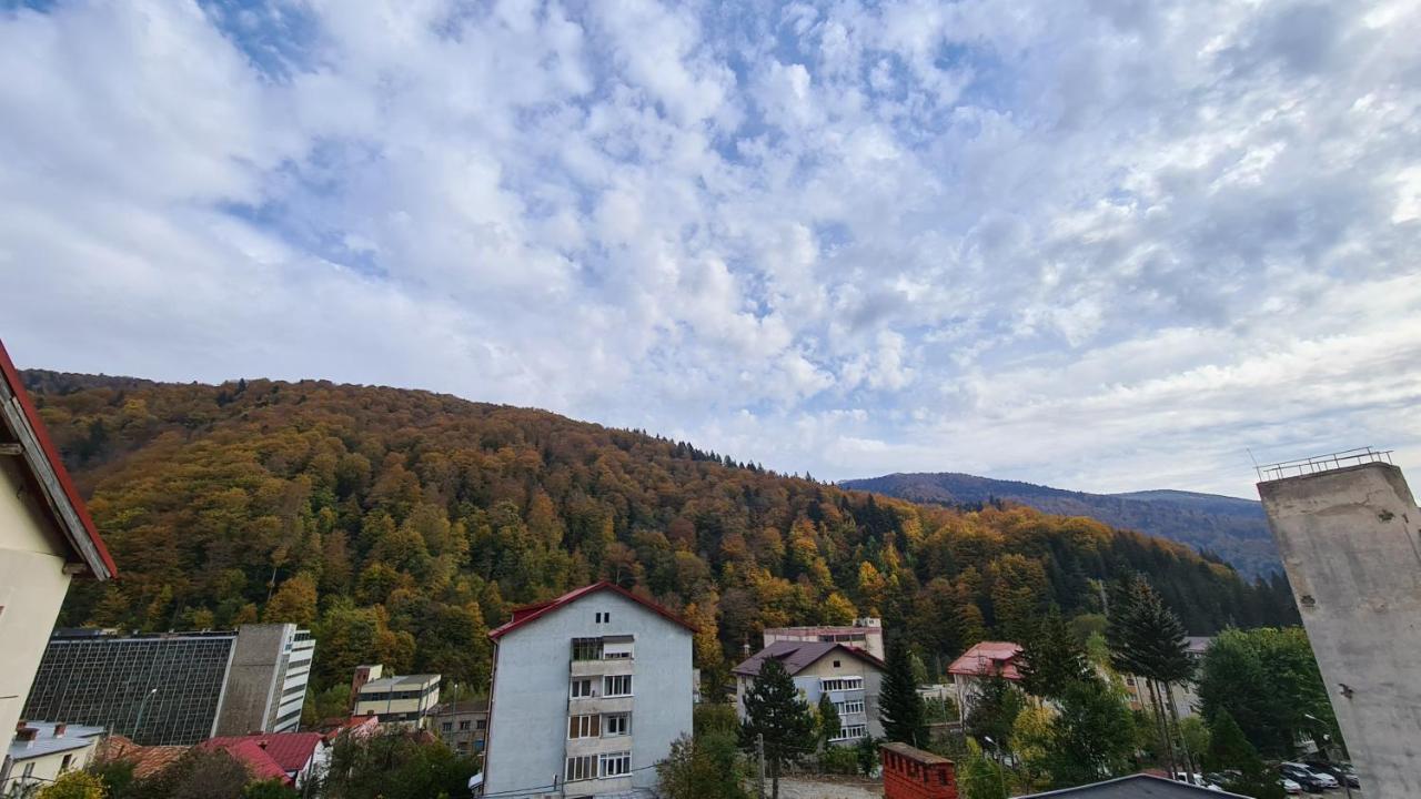 Iali Apartment Sinaia Exterior foto